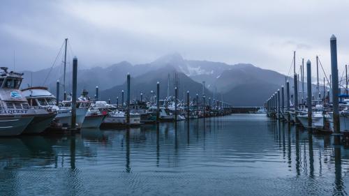 Life Below Zero: Port Protection Alaska