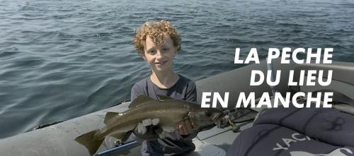 La pêche du lieu en Manche