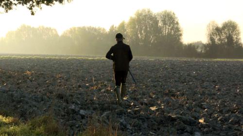 Le capucin de la Côte d'Emeraude